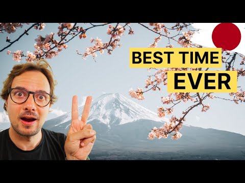 JAPAN - 7 Reasons to Travel in 2023