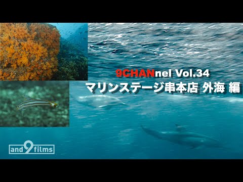 9CHANnel #034 マリンステージ串本店 外海編 / Kushimoto, Wakayama. Open ocean【スキューバダイビング番組】