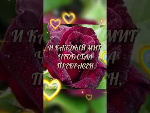 🌹Доброе Пожелание!🌹#длятебя #пожелание #тебе 🌹