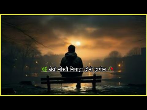 माब्लाबाबो बावनो हाया । bodo shayari true lines video status 2024