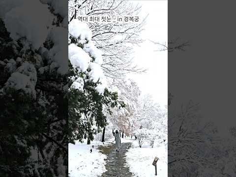 The biggest first snow ever_in Gyeongbokgung #firstsnow #Seoulfirstsnow #Gyeongbokgung