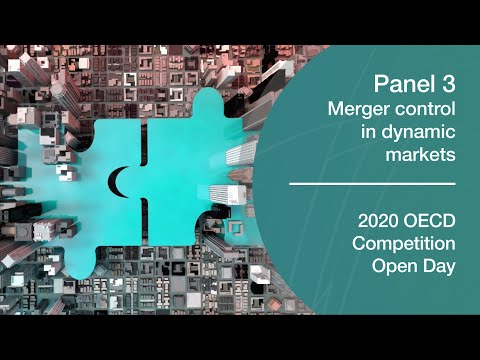 2020 OECD Competition Open Day - Panel 3. Merger Control in Dynamic Markets