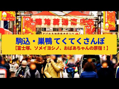 【てくてくさんぽ】駒込・巣鴨  大名庭園と富士塚、桜の故郷〈六義園、巣鴨地蔵通り商店街〉Walk around Komagome&Sugamo,TOKYO JAPAN