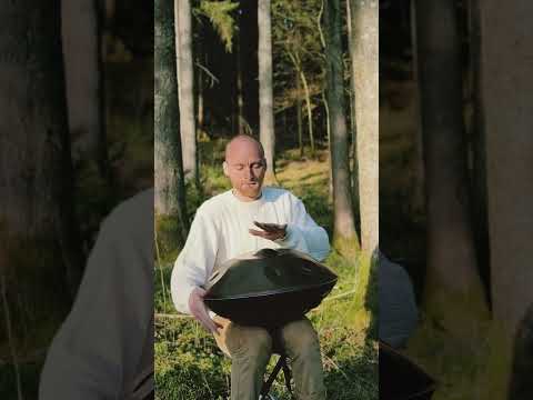 Handpan meditation on the edges of the Black Forest #shorts