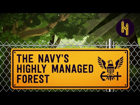 Why The US Navy Really Needs This One Forest in Indiana