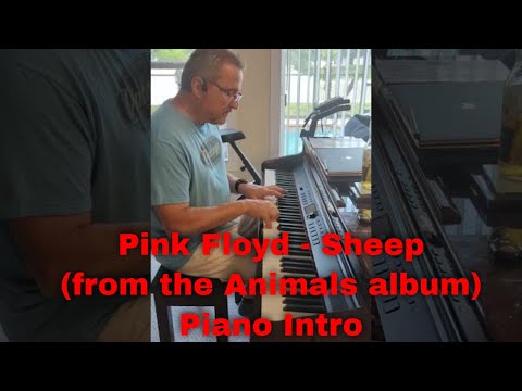 Pink Floyd - Sheep (from the Animals album) - Piano Intro