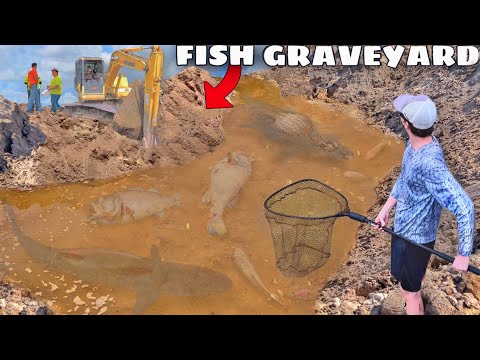 I Saved The POND MONSTER From Certain DEATH!