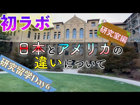 【初ラボDAY】アメリカと日本の大学院の風習が違いすぎた！