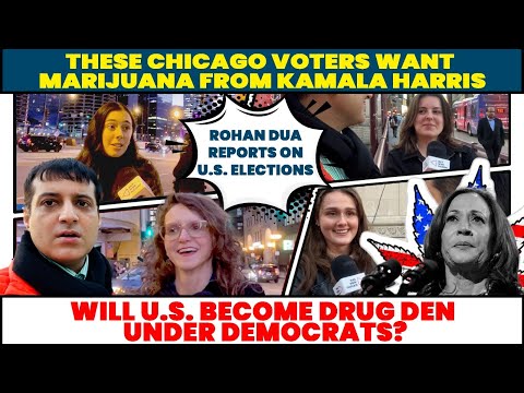 WATCH:Why Chicago Voters Want Marijuana From Kamala | Rohan Dua Reports On US Elections