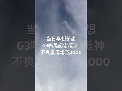 勝ち馬2023/G3鳴尾記念早朝昼予想/道悪得意は稍重キズナ重キンカメやクロフネ不良ハービン産駒より、7,11,12,14のワイド買いで、リアル買い予定。