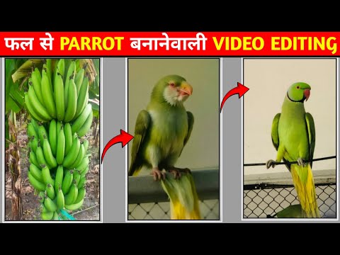 Phal Se Animal Banaane Wala Ai Video Kaise Banaye | Ai Animal Like Fruit