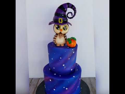 Witch Owl Theme Halloween Cake