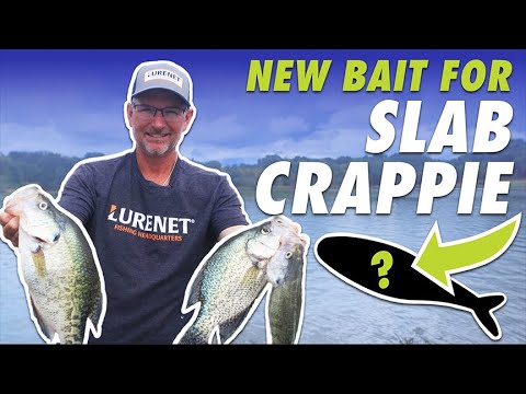 Hottest NEW Lure to Catch Slab Crappie! (Bobby Garland Live Roam'R)