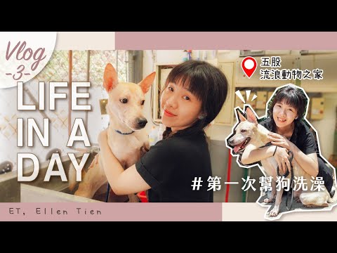 【ET’s Vlog #3】 Life in a day – 五股動物之家「媽媽不讓我養狗，於是我來當一日志工！」#第一次幫狗洗澡