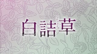 【公式】韓国ドラマ「白詰草＜シロツメクサ＞」DVD予告編