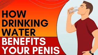 How Drinking Water Benefits Your Penis