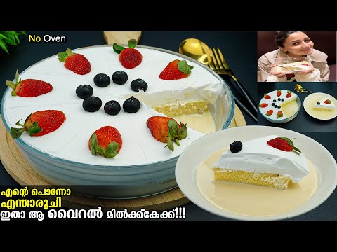 ഇത് പൊളി ടേസ്റ്റ് ആണേ😋👌🏻ഇപ്പോളത്തെ താരാമായAlia Bhatt's Favourite Milk Cake Recipe/Trending Milk Cake