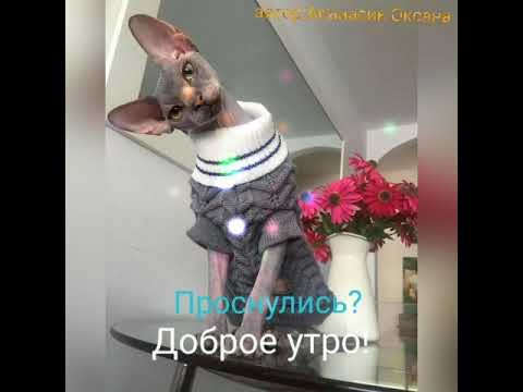 Хорошего всем настроения в это замечательное воскресение!😍😍😍