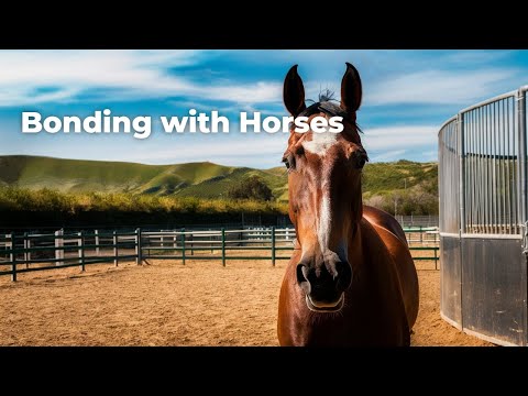 🐴 Building DEEP Relationships with your horse with Gabrielle Diakon, GMD Training