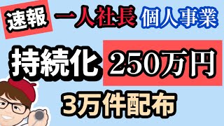 【速報】持続化補助金２５０万円３万件・一人社長・個人事業主・1人親方小規模事業者持続的発展支援事業・ものづくり補助金・事業承継・M&A支援【中小企業診断士・行政書士 マキノヤ先生】第2009回