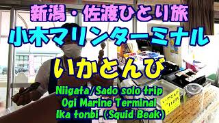 新潟・佐渡ひとり旅★いかとんび★小木マリンターミナル・Squid Beak・Ogi Marine Terminal・Niigata/Sado solo trip