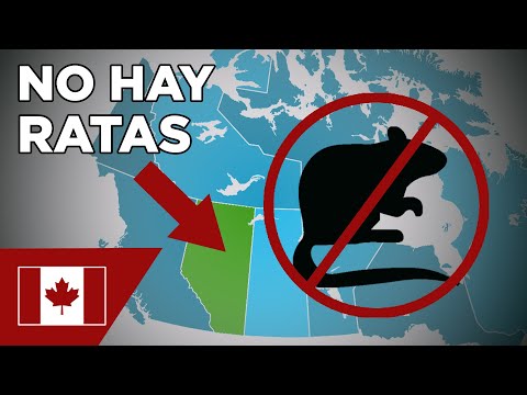 Único lugar del mundo sin ratas, oler mal es ilegal, y más curiosidades que no sabías