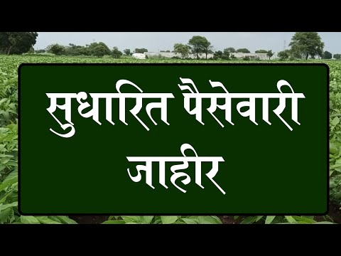 सुधारीत पैसेवारी जाहीर, प्रतीक्षा मदतीची || kharip paisewari 2024