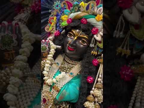 मेरे दर्द भरे ये गीत सुन ले मेरे मन के मीत #trending#shortsvideo2024#viral #radhekrishnalovers#radhe