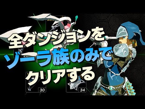 オールダンジョン装備縛り攻略解説『ゾーラ族編』【ゼルダの伝説 ティアーズ オブ ザ キングダム】