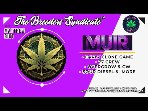 Muir AKA Stacy Jay 77 Crew Early Clone Game CW & Overgrow Forums Sour Diesel S12 E01