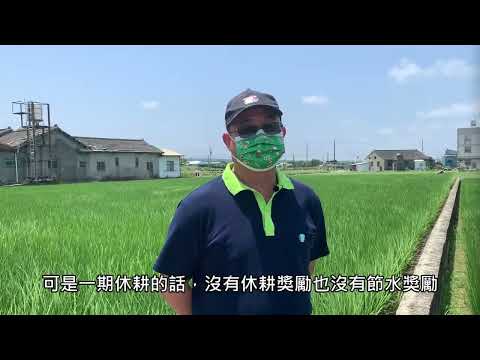 水稻產銷履歷報你知