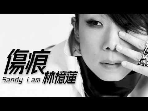 Sandy Lam 林憶蓮 - 傷痕【字幕歌詞】Chinese Pinyin Lyrics  I   1995年《Love, Sandy》專輯。