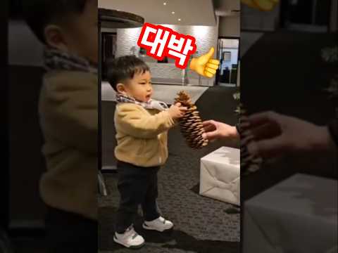 대박 솔방울 !? #아기 일상 #아기 #shorts #대박  #크리스마스  #크리스마스트리  #귀요미 #cute #baby #15개월아기