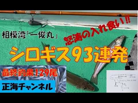 船シロギス93連発