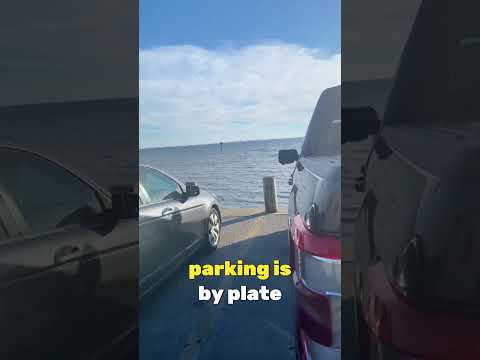 Parking Lot #thingstodointampa #beach #hangout #tampabay #clearwater #mindset #sunset #family