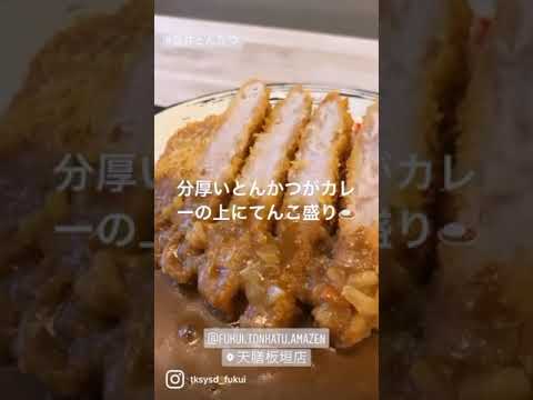 【福井グルメ】天膳 板垣店さん（福井市）でとんかつカレー サラダセット食べてきました【食レポ動画】#shorts