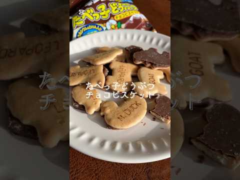 【咀嚼音】たべっ子どうぶつチョコビスケット🍫🍪#asmr #咀嚼音 #咀嚼音asmr #たべっ子どうぶつ #チョコビスケット