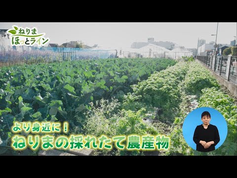 ねりまほっとライン（より身近に！ねりまの採れたて農産物）令和３年12月後半号