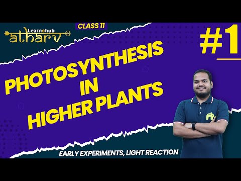 Photosynthesis in Higher Plants Class 11 Biology NCERT Chapter 10 #1 |Light Reaction  | Atharv Batch