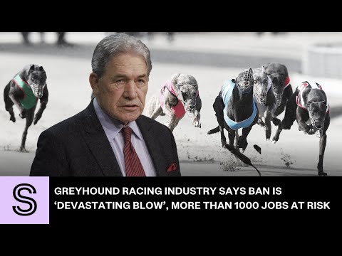 Greyhound racing industry says ban is ‘devastating blow’, more than 1000 jobs at risk | Stuff.co.nz