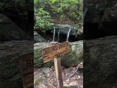 Highlights from our trip to Cascade Falls - Pine Mountain, Ga #Shorts #waterfalls #hikingadventures