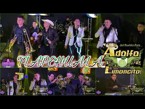 Tlapehuala / Adolfo Y Sus Limoncitos / ¡¡¡Sesión En Vivo 2021!!!