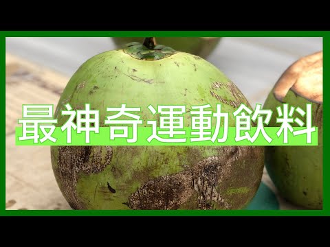 #Shorts 風靡全世界的天然運動飲料 | 一天一分鐘 Day 21