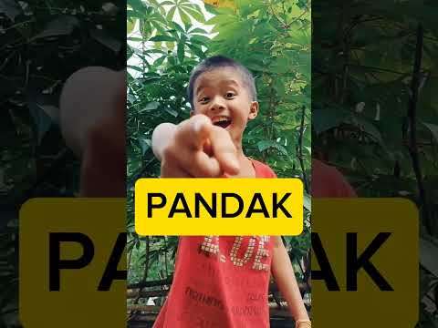 PANDAK!🤣