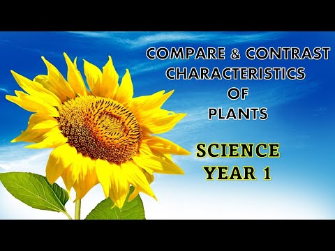 Explore the characteristics of different Plants