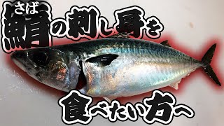 【超絶美味】刺身で食べれる坊勢サバ