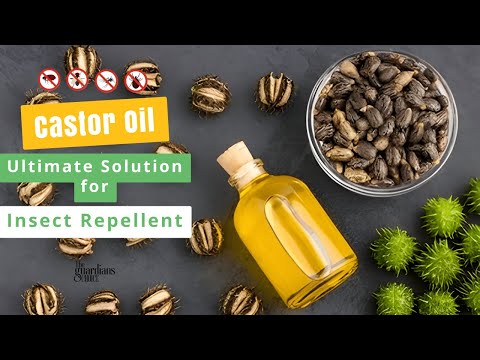 Insect Repellent Mastery: How to Use Castor Oil As an Insect Repellent?