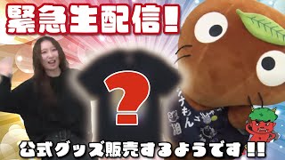 【緊急生配信!!!】ムジナもんチャンネル R6.11.07