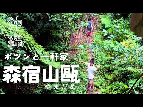 沖縄で自然を満喫できるホテル！『森宿　山甌-やまがめ-』