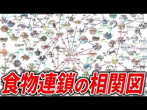 ポケモンの食物連鎖をまとめてみた　Part2【ポケモン相関図】